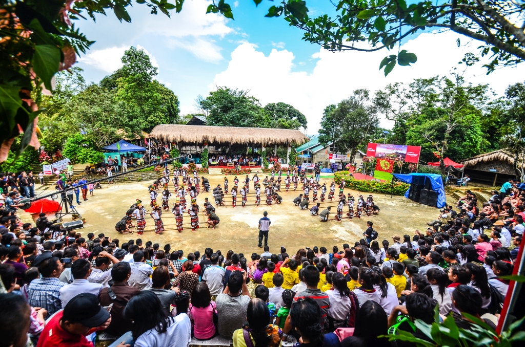 Anthurium Festival
