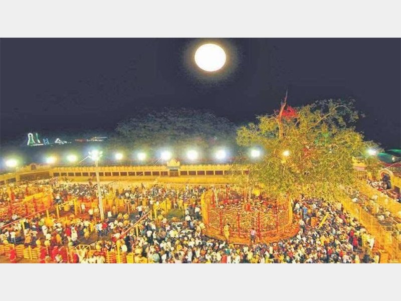 Medaram Jatara