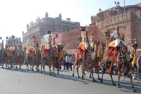 Camel Festival