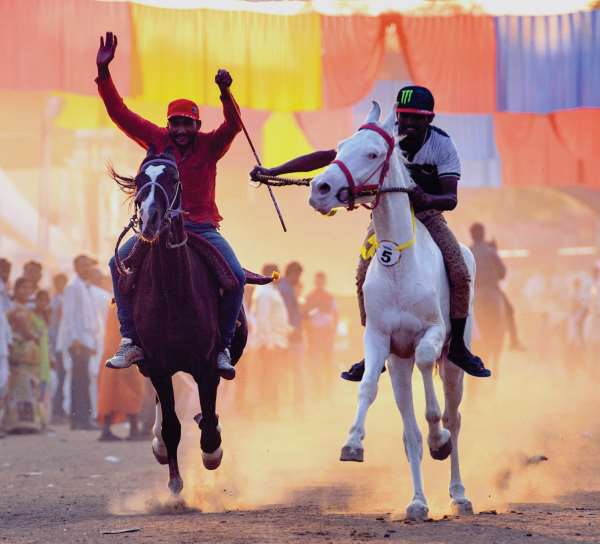 Chetak Festival
