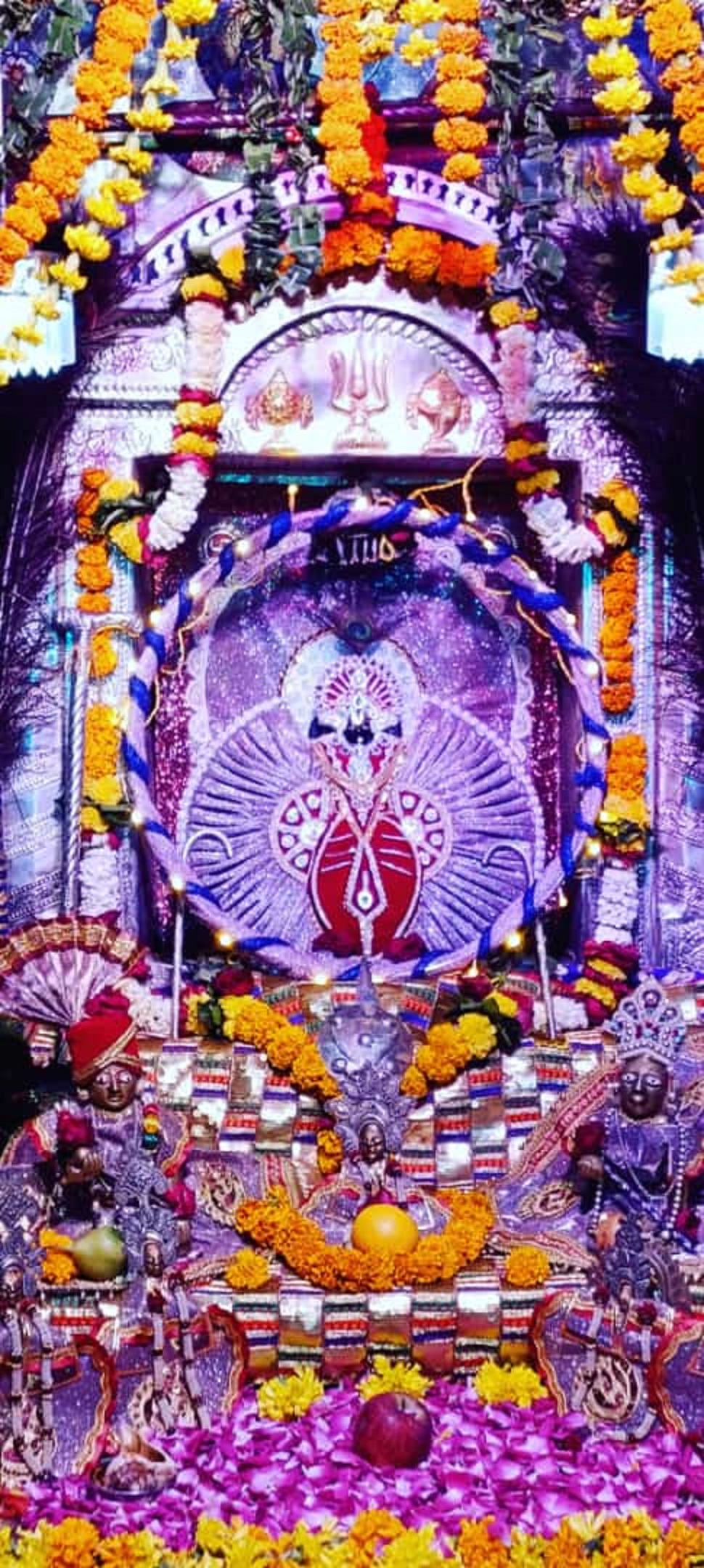 Jal Jhulni Dol Gyaras Utsav