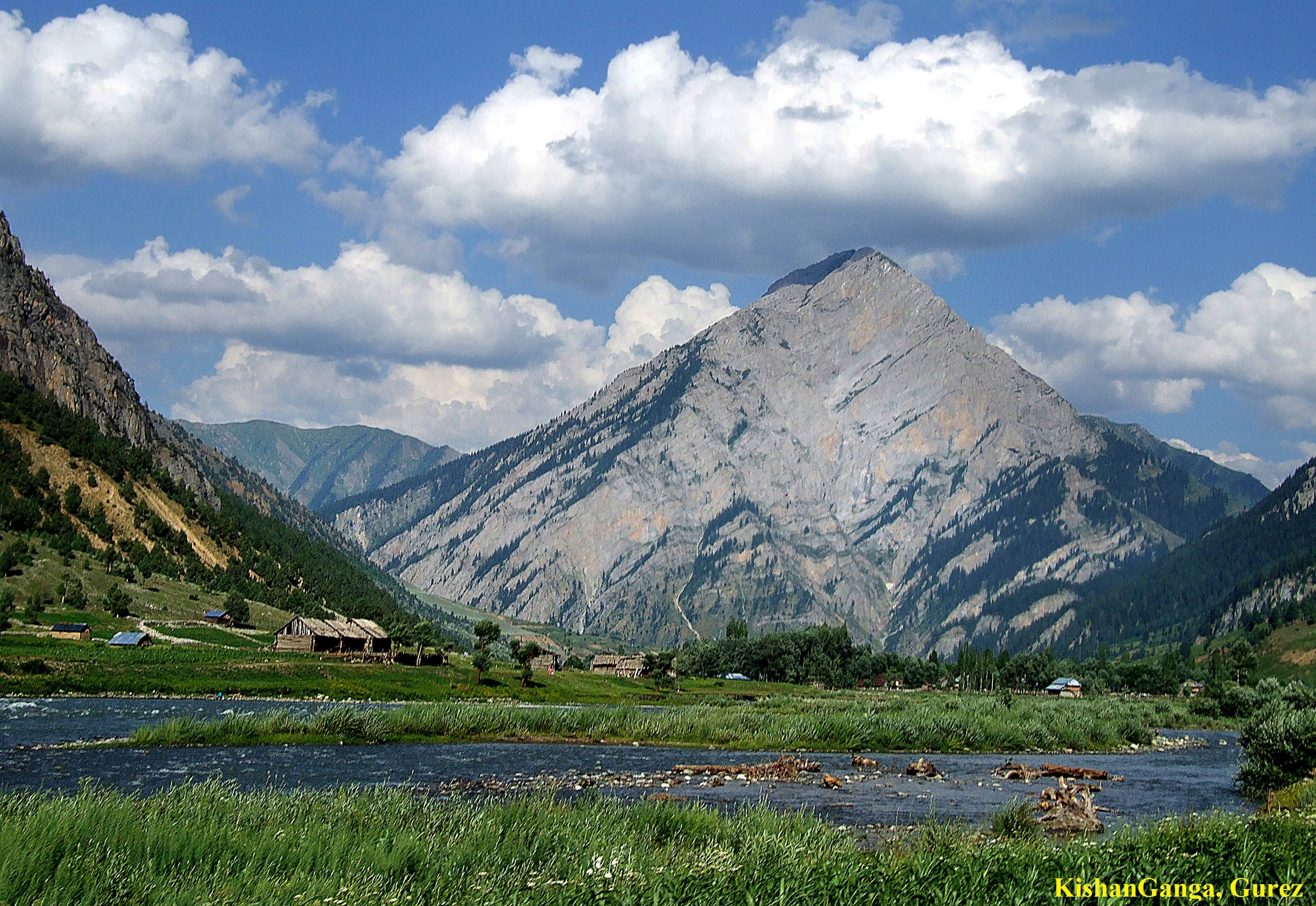 GUREZ FESTIVAL