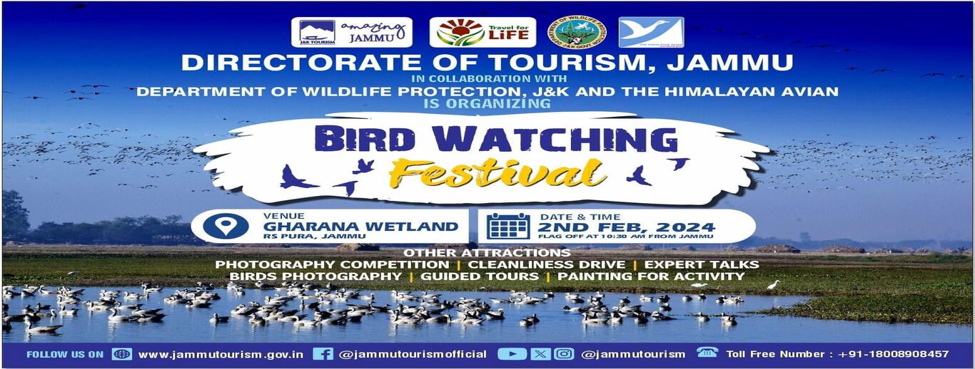 Bird Watching Festival