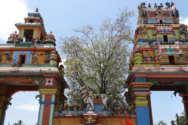 Ochira Kali