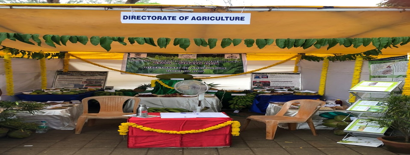 Mango Festival
