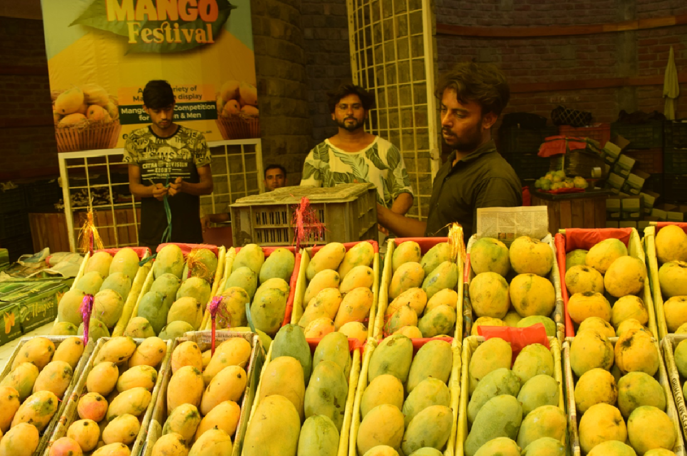 Mango Festival
