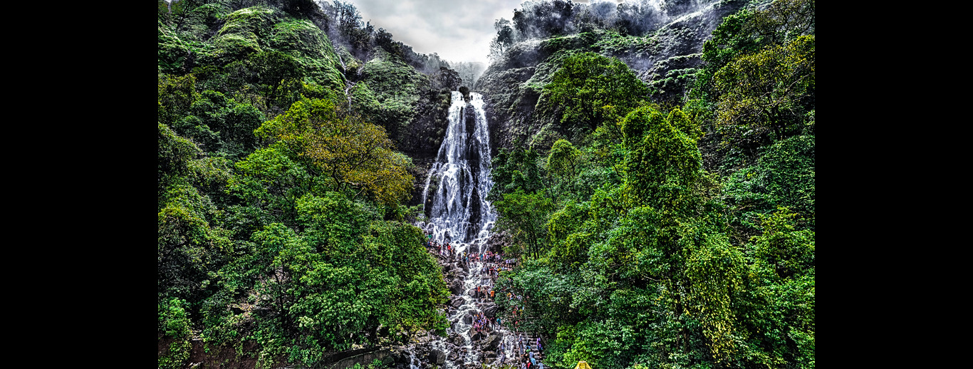 Monsoon Festival - Amboli