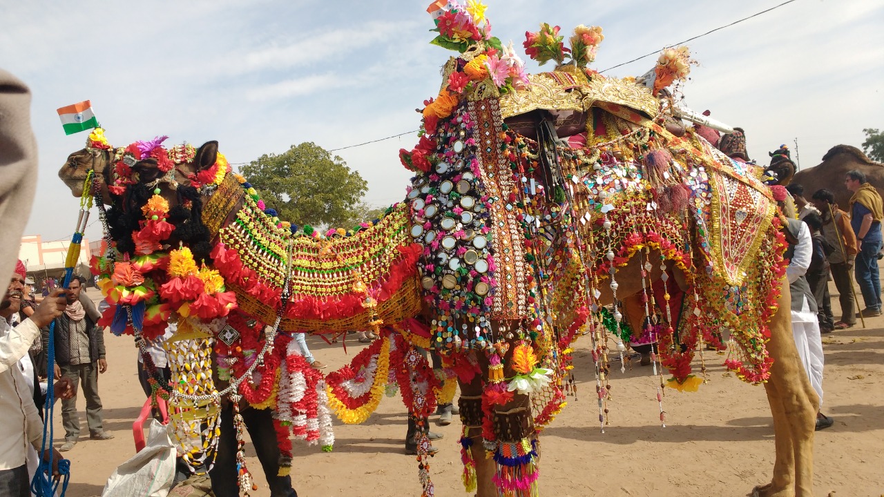 Nagaur Fair