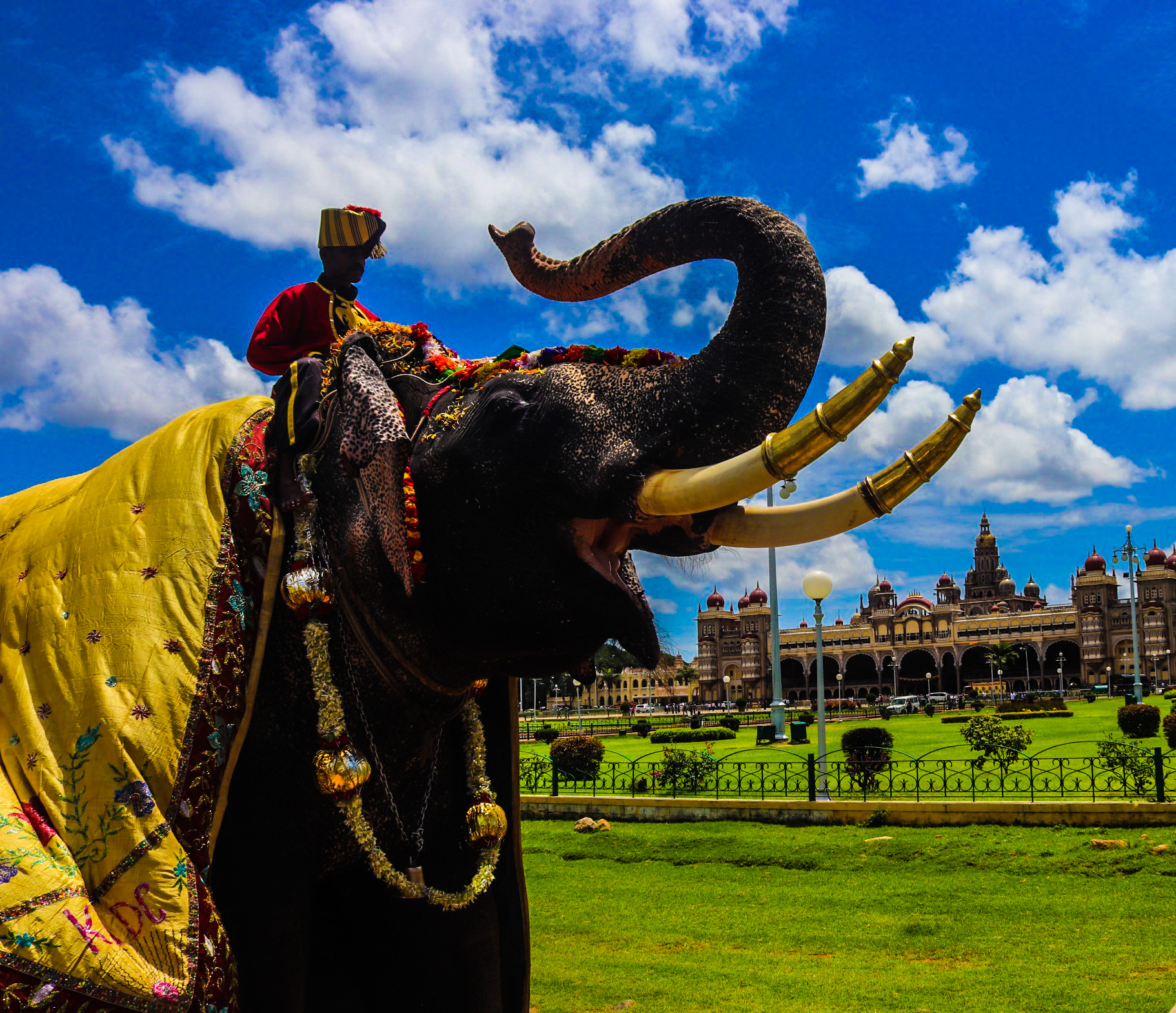 Mysuru Dasara
