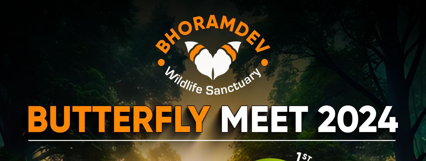 Bhoramdev Butterfly Meet 2024