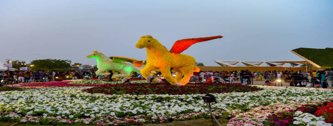 FLOWER SHOW AT AHMEDABAD