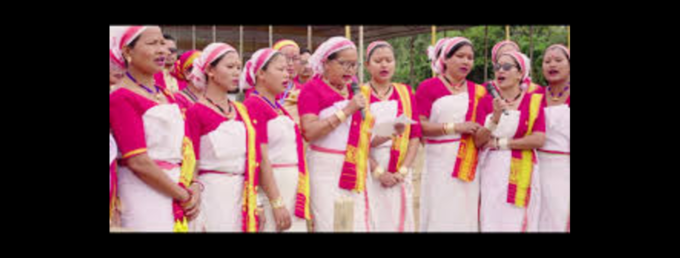Joidaam Mechu