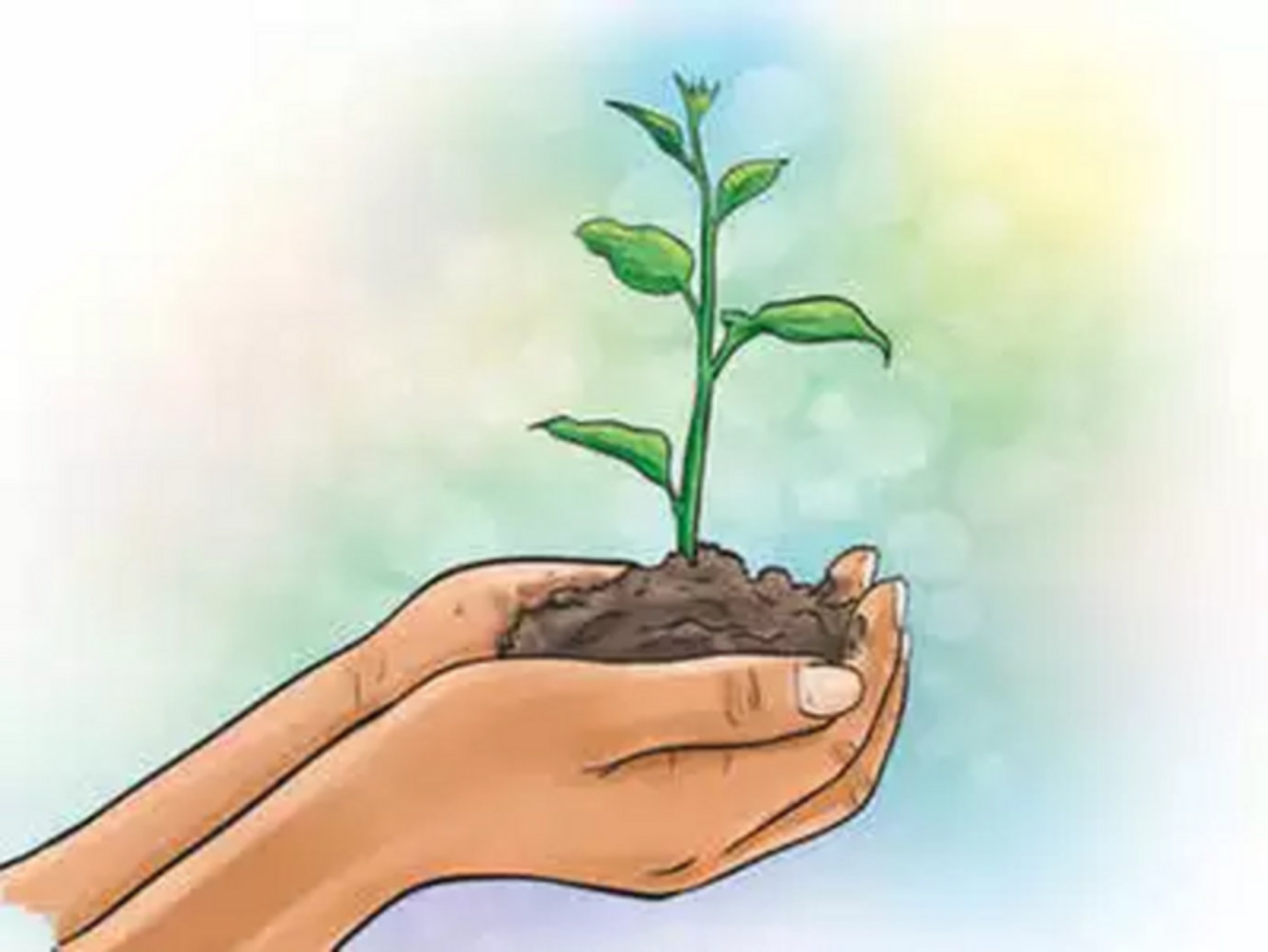 वन महोत्सव (हरियाली तीज के अवसर पर)