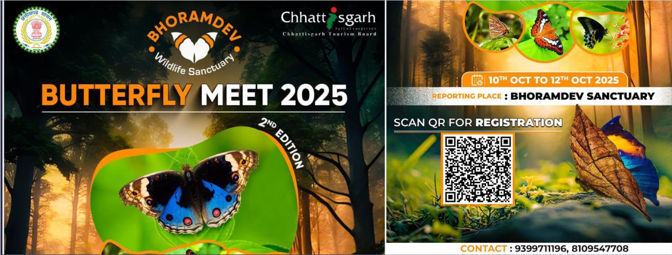 Butterfly Meet 2025