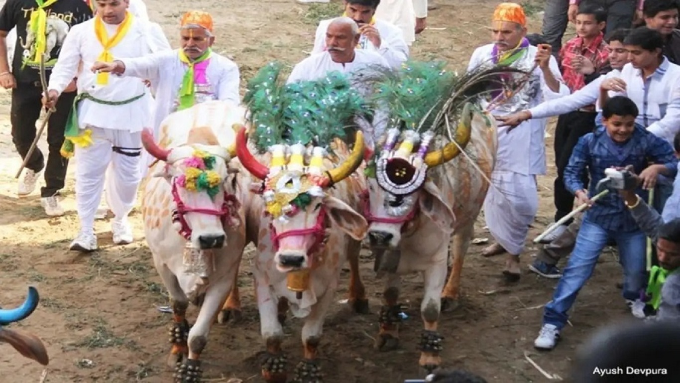 GOVERDHAN POOJA AND ANNKOOT MAHOTSAV