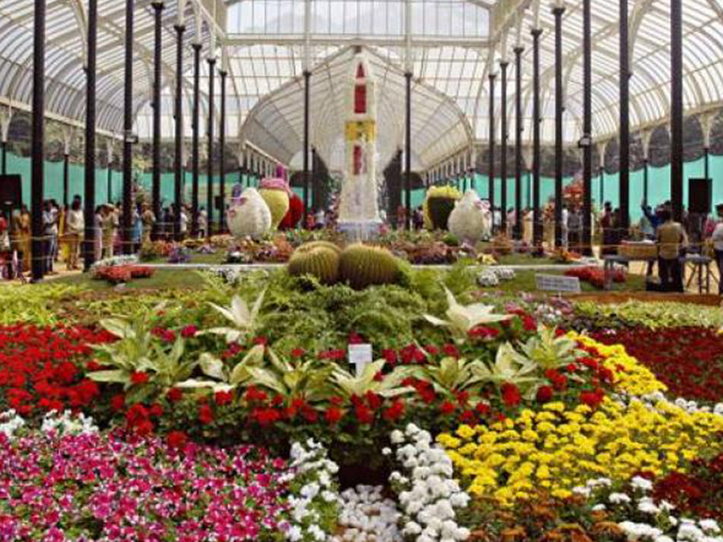 Lalbagh Flower Show