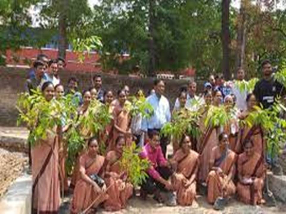 WORLD ENVIRONMENT DAY