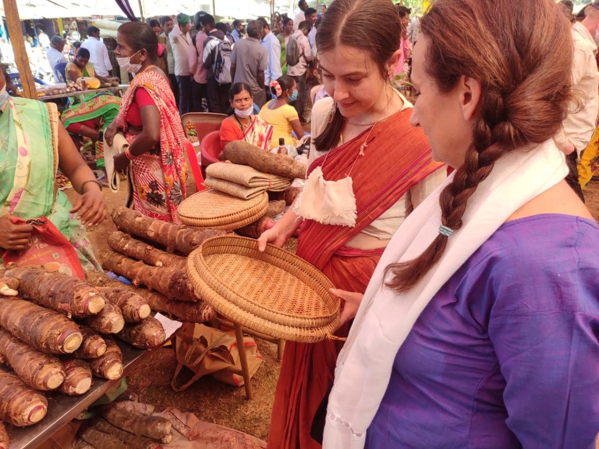 Tuber Mela