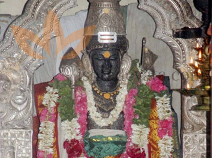 Panguni Car Festival, Arulmigu Balasubramanya Swamy Temple