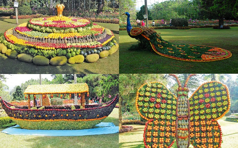 The Ooty Summer Festival