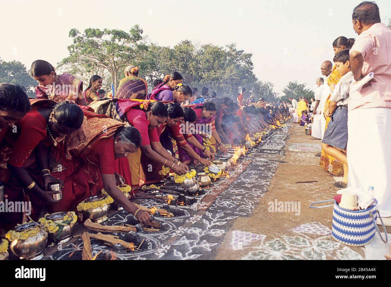 Pongal Festival *Every year*
