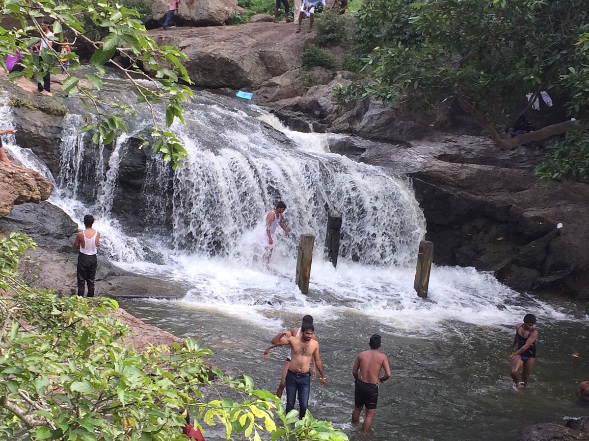 Jawathu Hills Summer Festival
