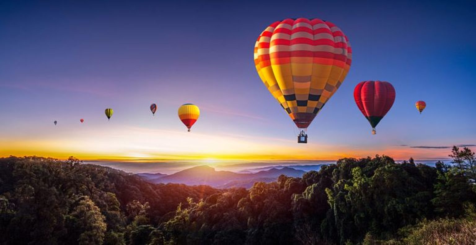 Tamil Nadu International Balloon Festival - Pollachi