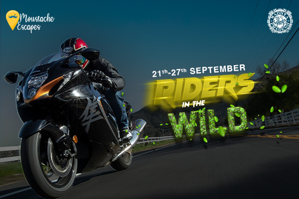 Riders in the Wild" Biking Tour